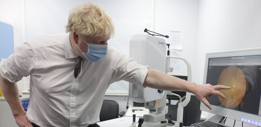 What the COVID Inquiry tells us about Brexit post image