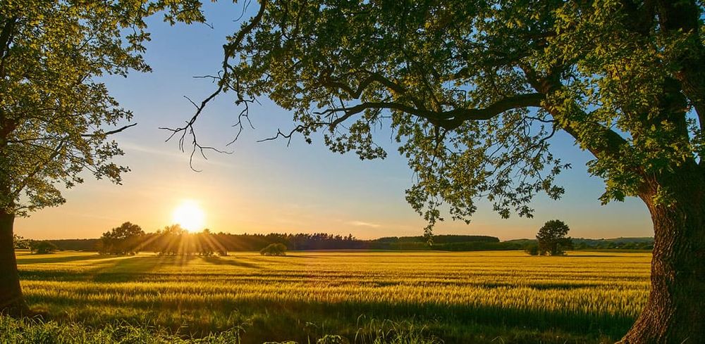 Oil firms want to drill in four of the UK’s areas of outstanding natural beauty post image