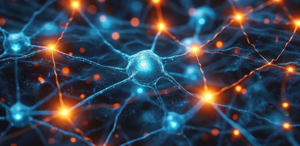 Your brain can reveal if you are rightwing – plus three other things it tells us about your politics post image