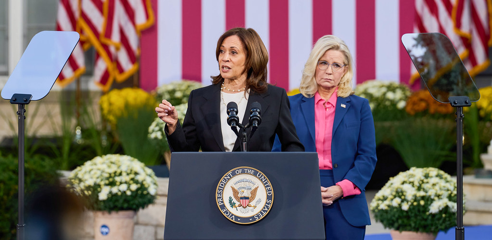 “Unhinged and unstable”: Kamala Harris warns of the dangers of Donald Trump’s re-election post image