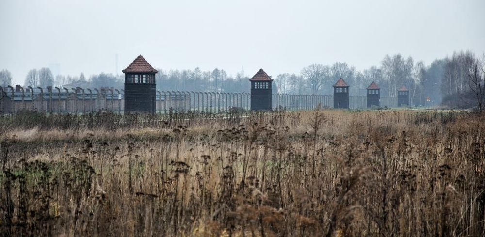 Mass deportations don’t keep out ‘bad genes’ − they use scientific racism to justify biased immigration policies post image