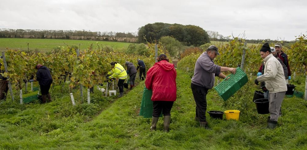 The UK farmer protests you probably haven’t heard about post image