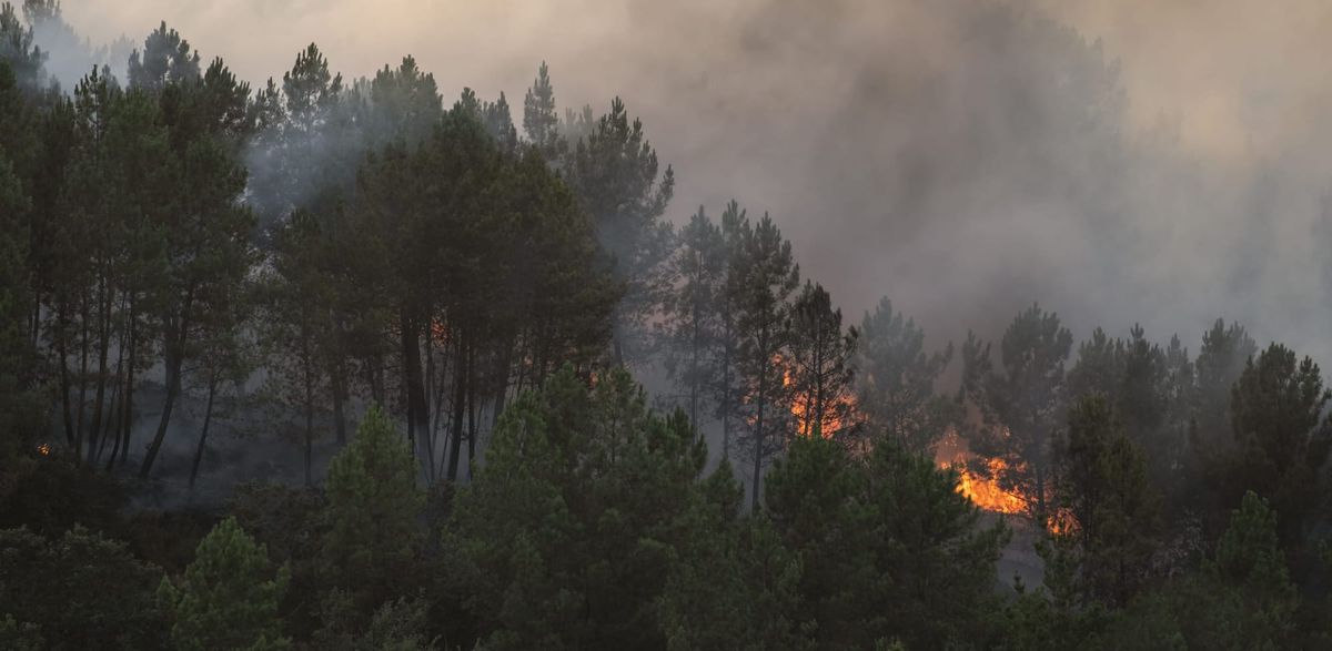 What is fuelling the wildfires in France and Spain?