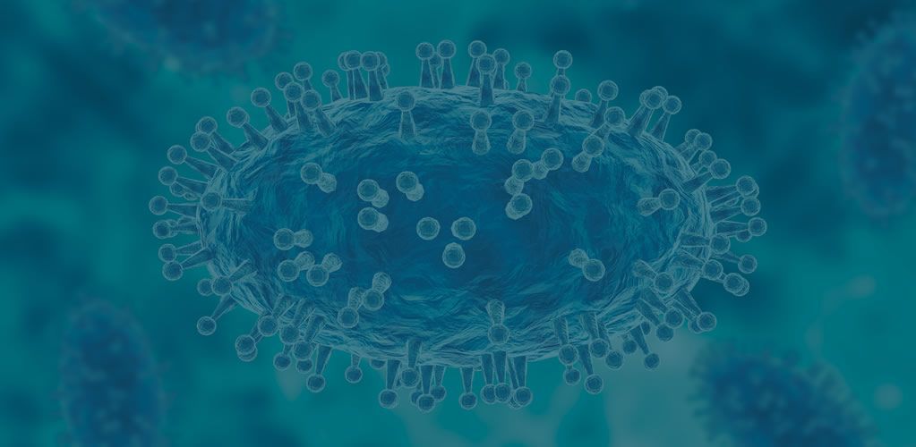 Latest Monkeypox post image