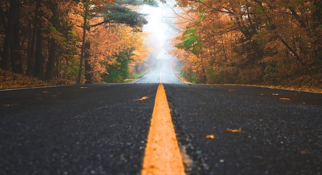 Ziyad Al-Aly cover image