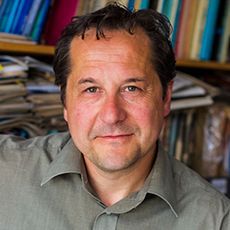 Dr Daniele Albertazzi profile image