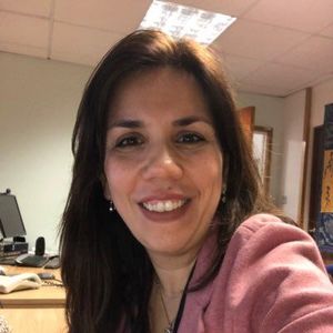 Professor Nisreen Alwan profile image