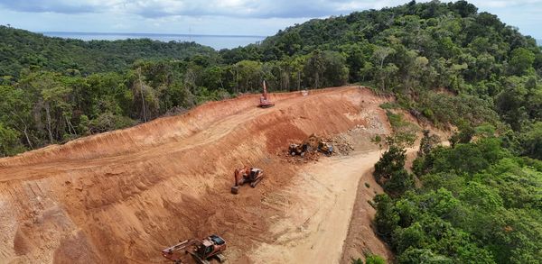 Amazon deforestation falls 37% to record low in Brazil