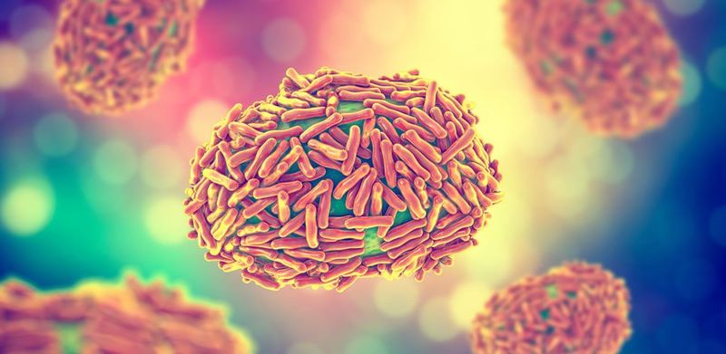Monkeypox may not mutate as fast as coronaviruses, but that doesn’t mean it can’t adapt to its new hosts. post image