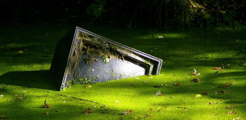 From I’m a Celeb to Strictly: Public verdict on politicians in Reality TV post image