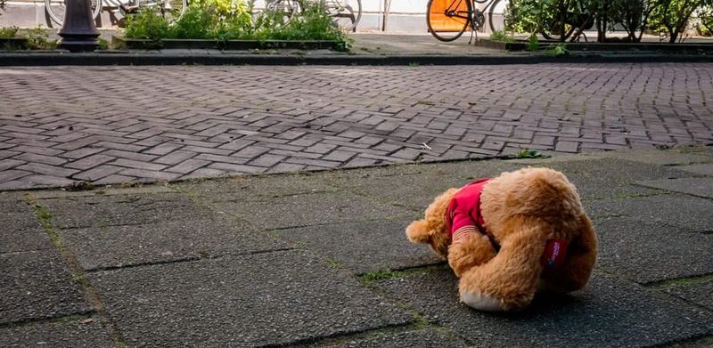 Alarming decline in children’s health and well-being predated pandemic, research reveals post image