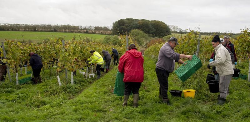 The UK farmer protests you probably haven’t heard about post image