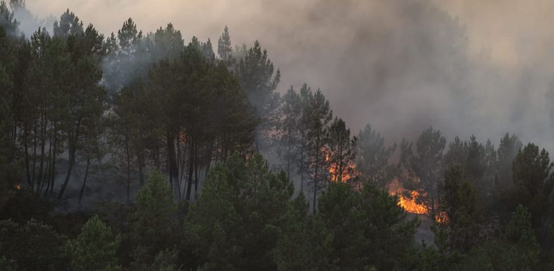 What is fuelling the wildfires in France and Spain? post image