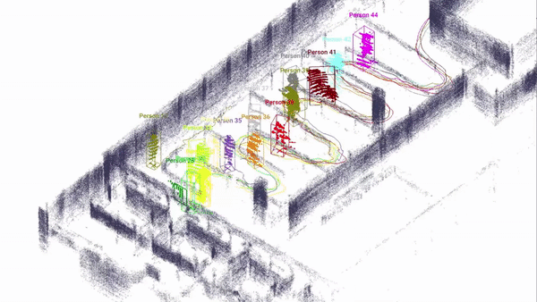 Passenger flow tracking for passport control