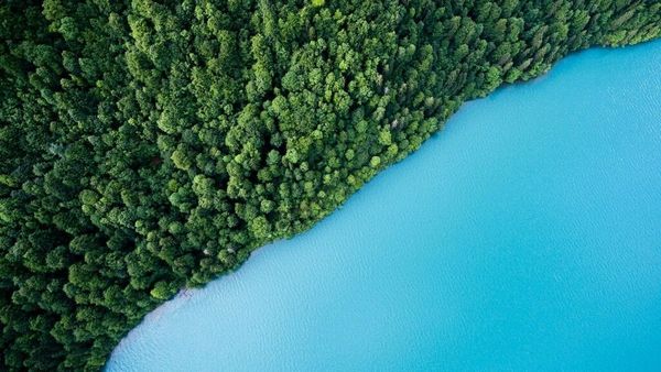 Top-down aerial view of a dense green forest bordering a bright blue lake, symbolizing the role of LiDAR in environmental conservation and monitoring.