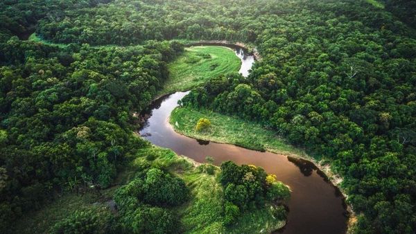 Aerial view of a winding river cutting through dense Amazon rainforest, illustrating the natural landscape where ancient urban remains were discovered.