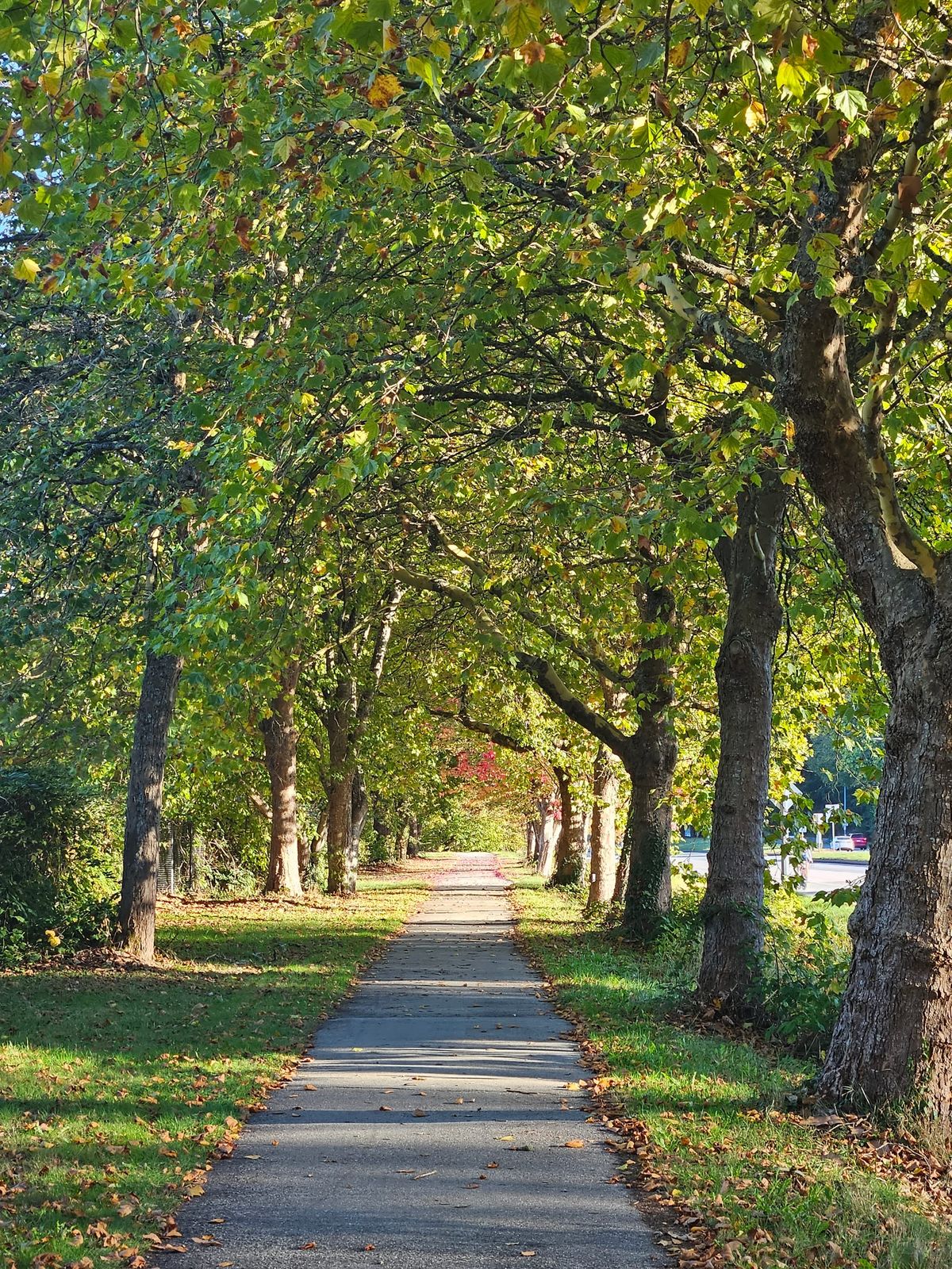 Lielā staigāšana un vēl pāris lietas