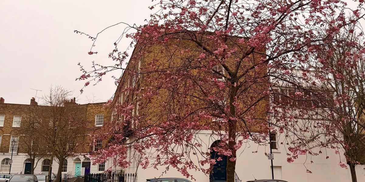 The Year of New, So Far