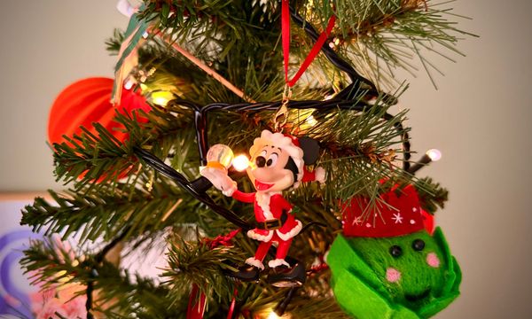 The Enthusiast Weekly — November 21, 2025