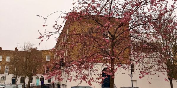 The Year of New, So Far