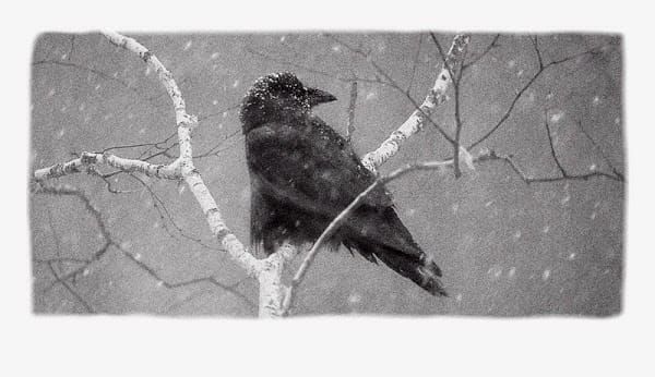 Of Moments: Lessons from Photography