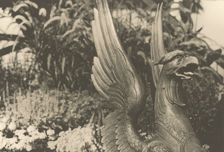 Black and white photo of a bronze gryphon statue.