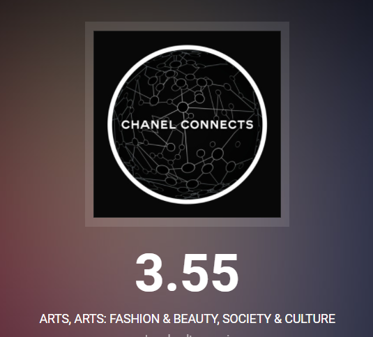 Chanel Connects 3.55 