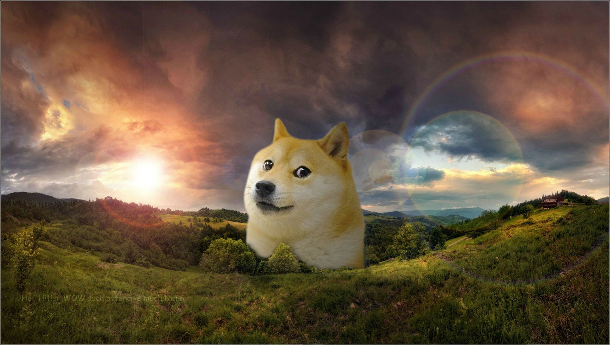 Doge meme