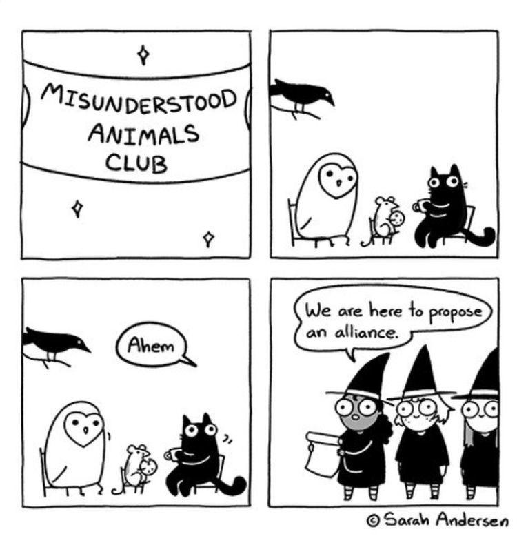 Do the Thing! Misunderstood Animals Club