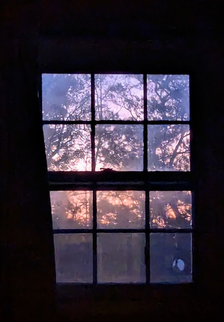 Do the Thing! While I do nothing 😂