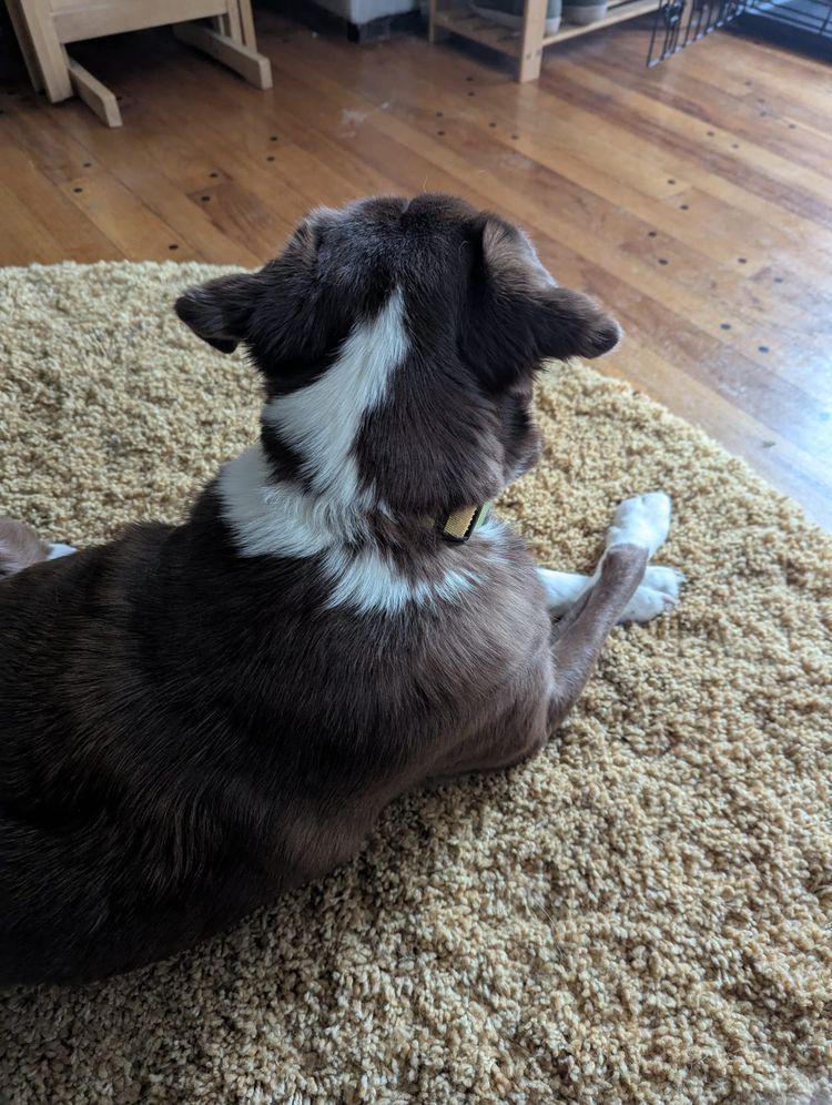 Doing Things at 11am E