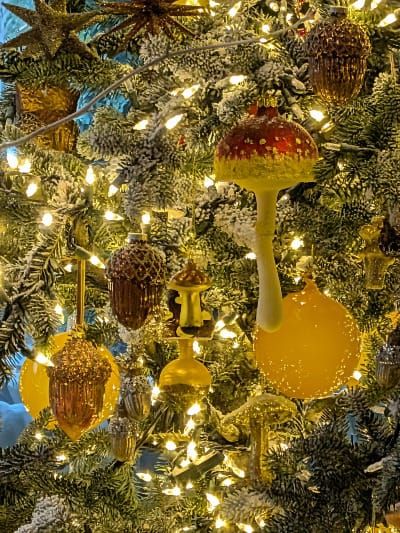 End of Year Thank You