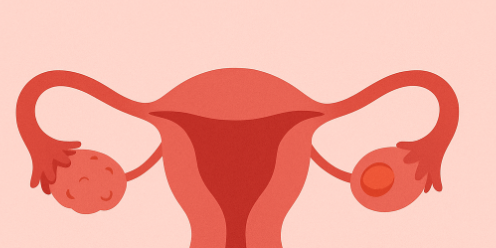 Types of Ovarian Cancers