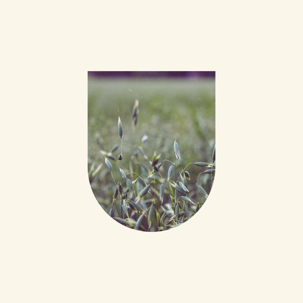 ∵ NERVINES: Herbs for Anxiety + Nervous System Support