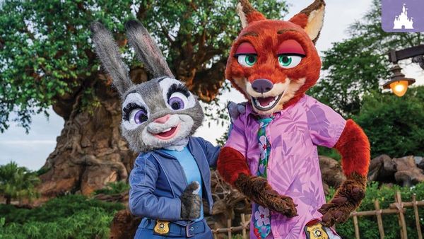 Zootopia: Better Zoogether! opens Nov. 7 at Disney’s Animal Kingdom