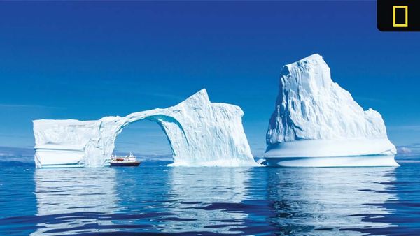 Enjoy up to $2,000 USD in Air Credits on Select 2026 Arctic Voyages with National Geographic-Lindblad Expeditions
