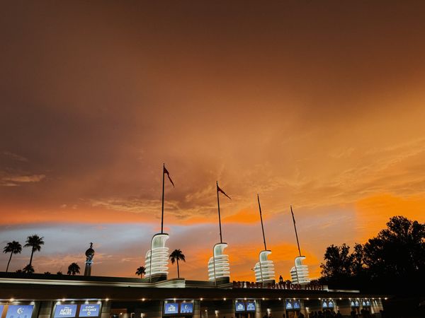 Is Disney Still Magical? Why I Keep Going Back (Even After All These Years)