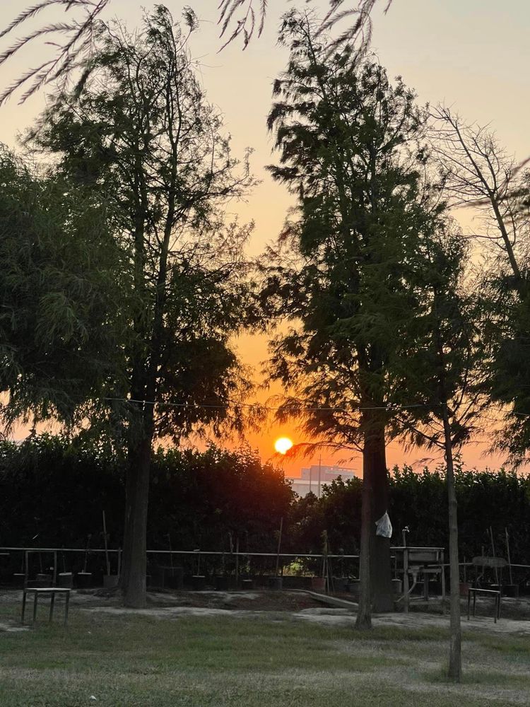 [彰化二林]五六弄-跟兔兔一起chill