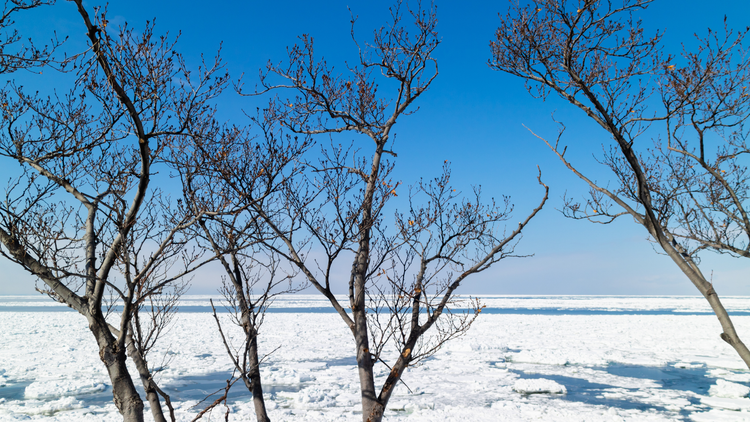 探索攝影旅遊團背後的獨特魅力，最適合參加的竟是他們！