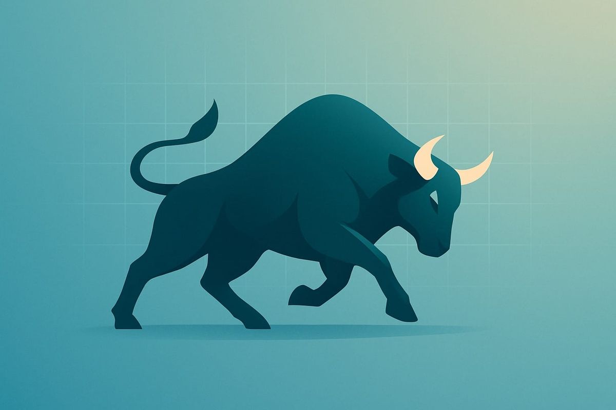 Portfolio Summary: Aggressive