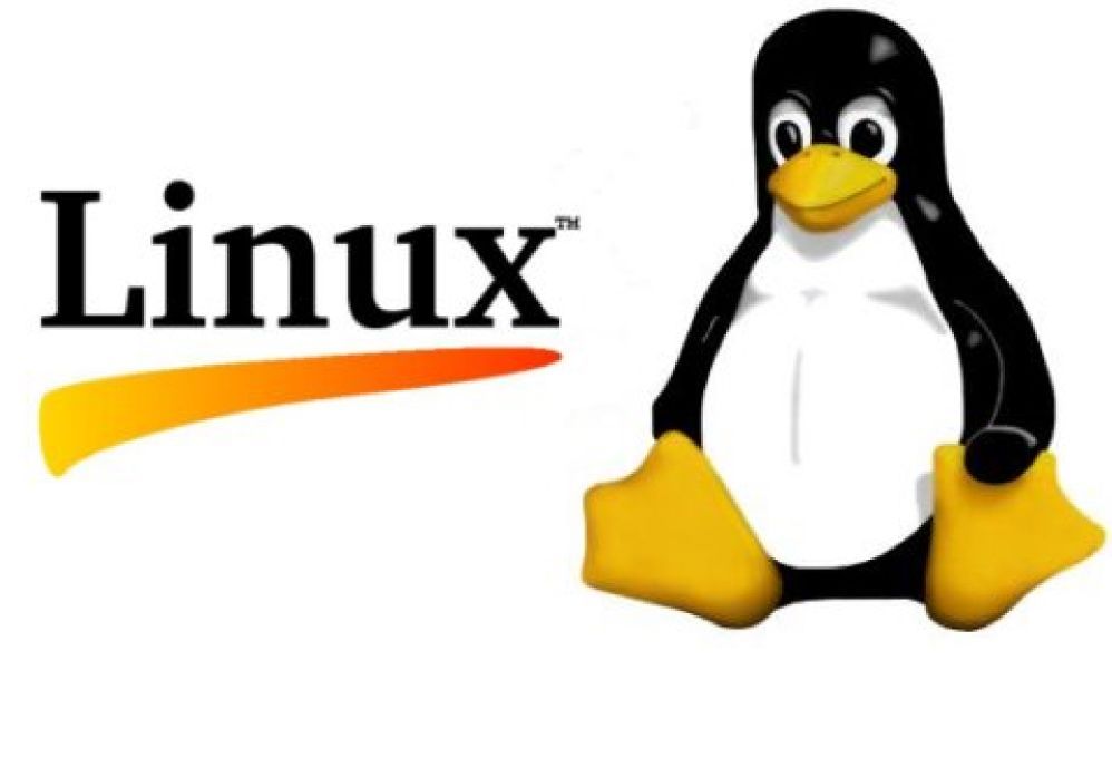 Slow Linux? With just this one change, it might run faster