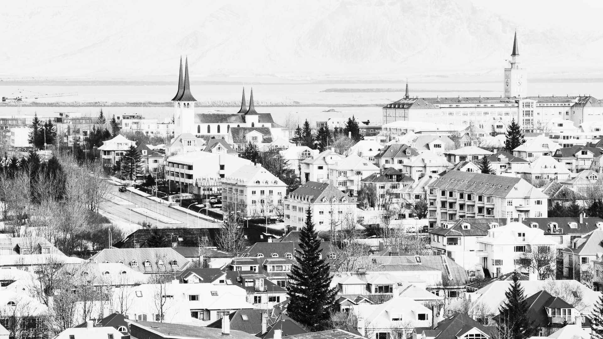 Hrun í frjósemi innflytjenda á Íslandi
