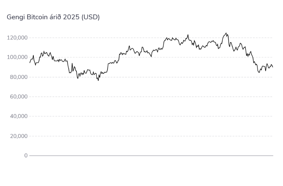 Óræð lækkun á verði Bitcoin