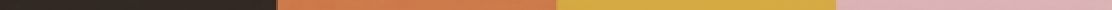 Multi colored spacer bar