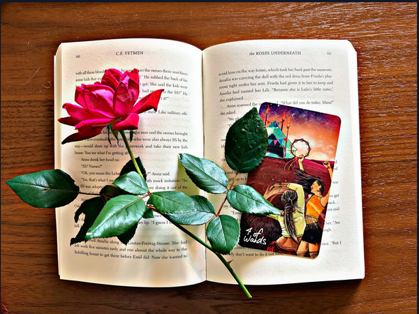 The Roses Underneath with Chris Anne’s Four of Wands, the Light Seers Tarot, and a rose from Melissa's back garden.