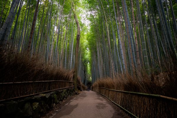 Domingos de Resonancia