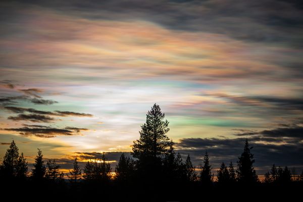 Domingos de Resonancia