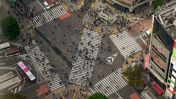 Domingos de Resonancia