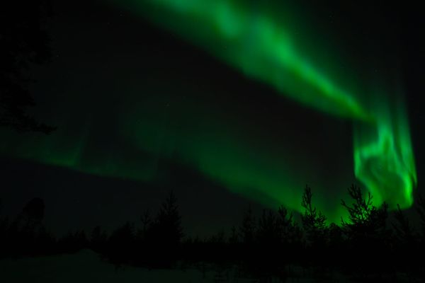 Domingos de Resonancia