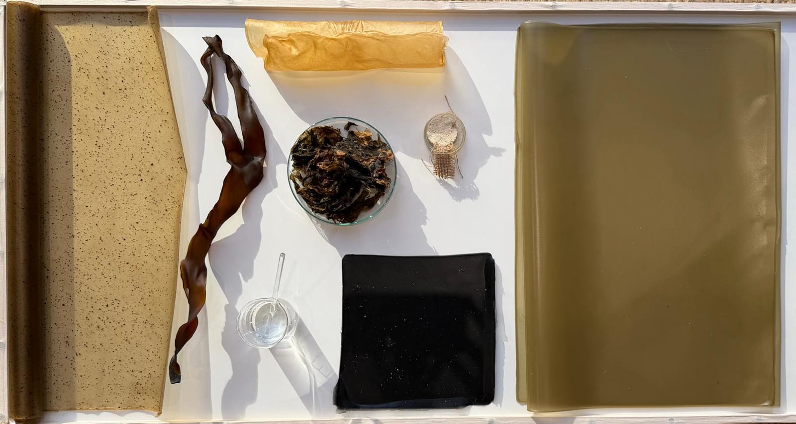 Algae mixture process and fabricated, translucent algae sheets.